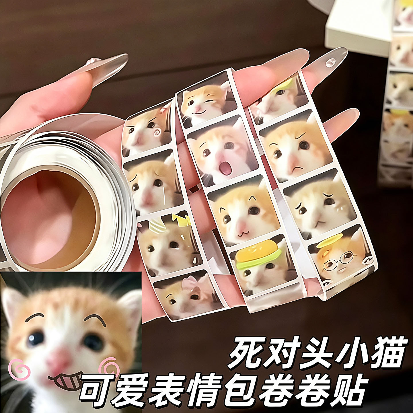 死对头小猫贴纸萌宠表情包卷卷贴