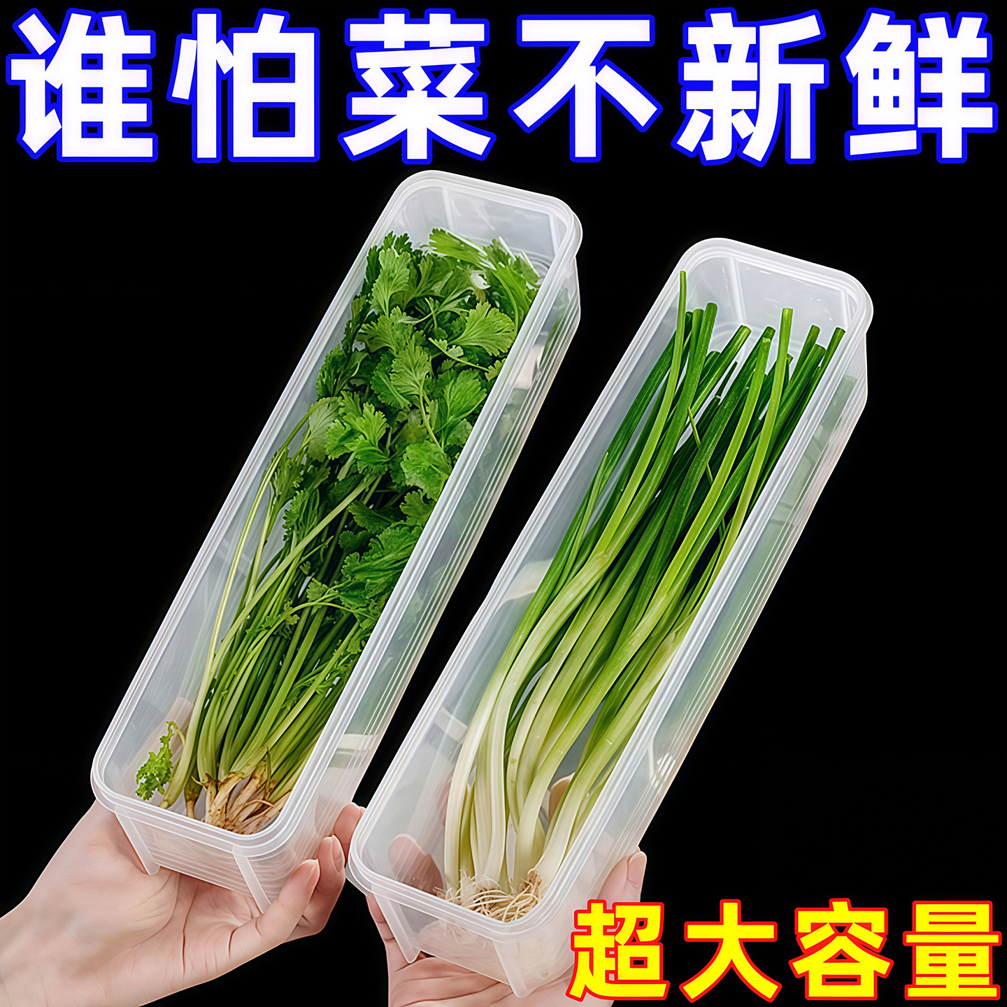 保鲜盒食品级大葱香菜芫荽整根姜蒜挂面条鸡蛋收纳整理盒冰箱专用