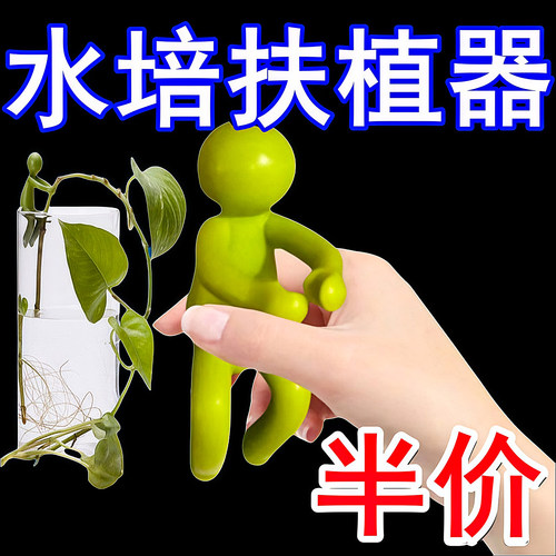 水培植物扶正固定造型伴侣通用