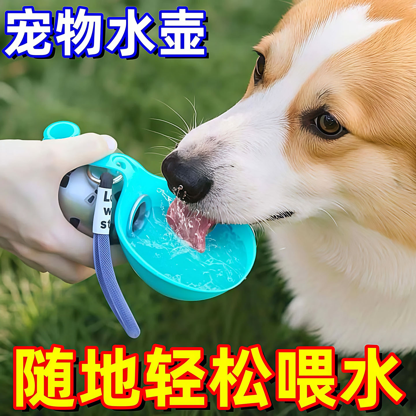 宠物用品狗狗外出便携水壶可折叠