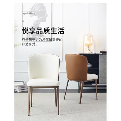 椅家洽谈用北区轻奢现代简约铁艺TL011靠背椅子书桌椅餐厅餐餐桌