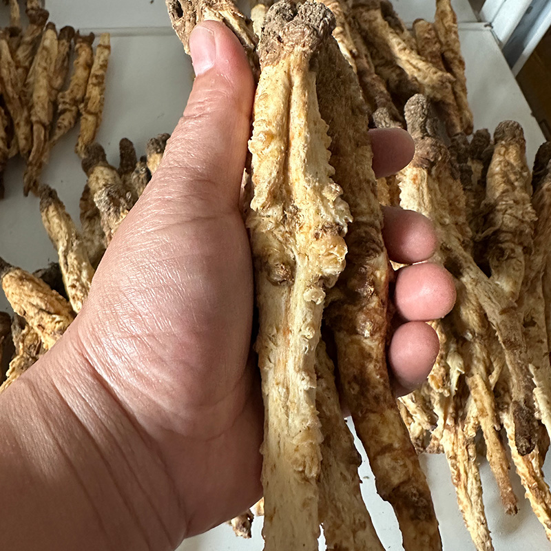 无熏硫正宗太行山高山野生北沙参