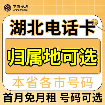 湖北武汉十堰鄂州荆门孝感中国移动卡上网卡手机卡电话流量卡