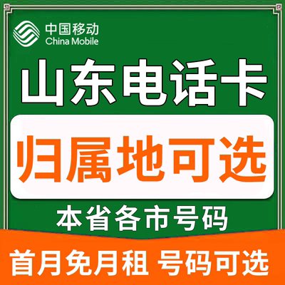 山东济南青岛东营泰安威海聊城中国移动卡上网卡手机卡电话流量卡