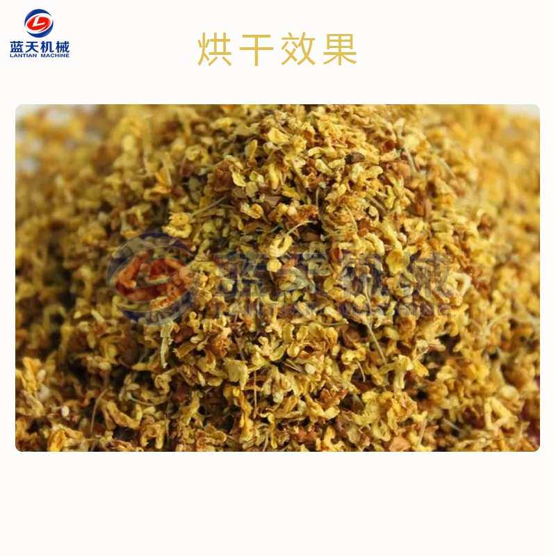 桂花烘干机电加热 小型家用金桂岩桂烘干箱 桂花茶木犀花烘干设备