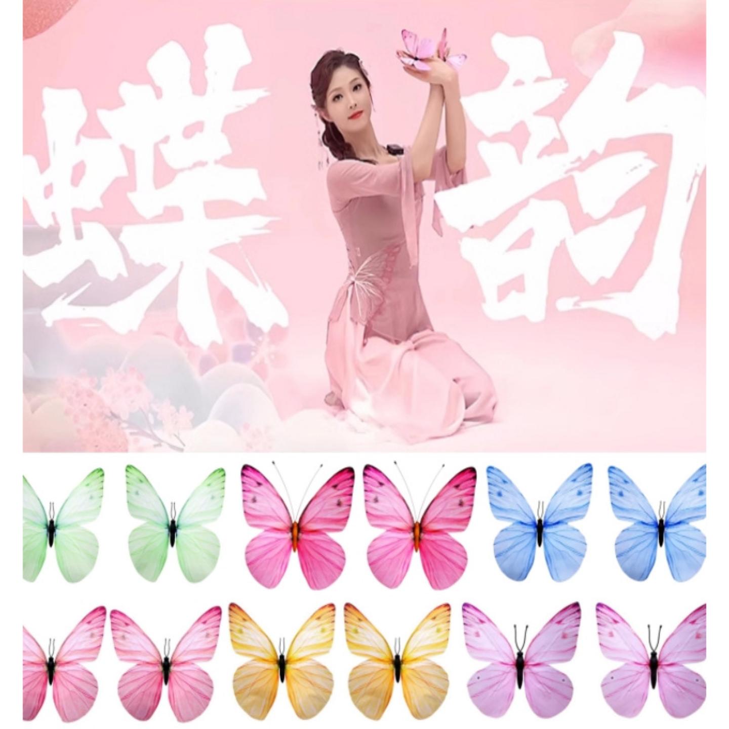 少儿古典舞身韵组合蝶韵舞蹈专用
