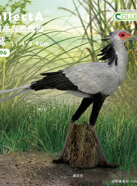 【88796蛇鹫】英国CollectA官方授权正版动物模型早教玩具礼物