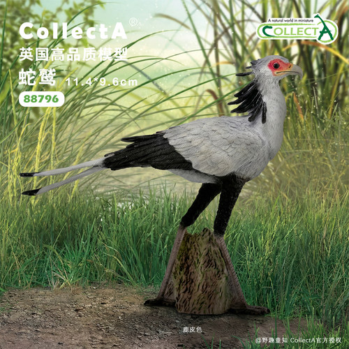 【88796蛇鹫】英国CollectA官方授权正版动物模型早教玩具礼物