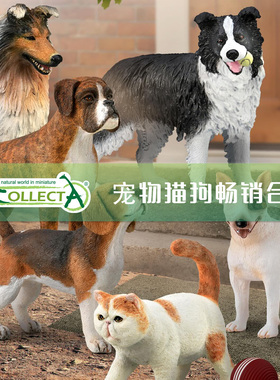 【顺丰包邮】英国CollectA高仿真动物模型仿真宠物边牧加菲猫狗