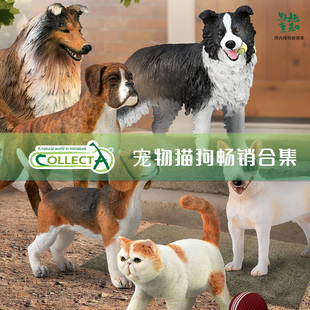 【顺丰包邮】英国CollectA高仿真动物模型仿真宠物边牧加菲猫狗