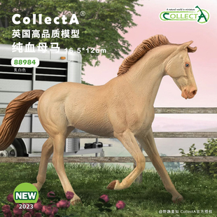 【88985纯血母马】英国CollectA我你他仿真动物模型玩具马玩具