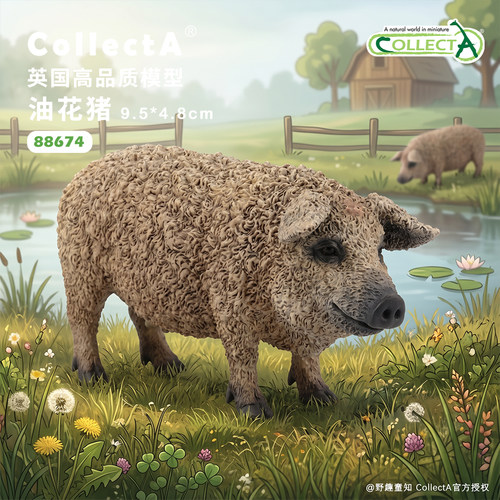 油花猪CollectA正版动物模型