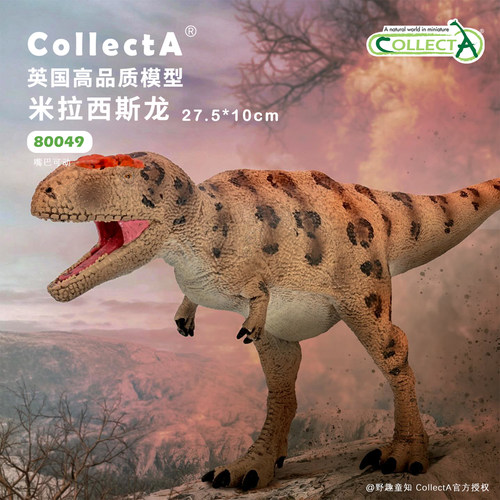 【顺丰包邮】米拉西斯龙 COLLECTA英国我你他侏罗纪恐龙模型玩具