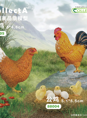 【88005母鸡/88004公鸡/88480雏鸡】CollectA官方授权动物模型