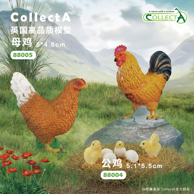 【88005母鸡/88004公鸡/88480雏鸡】CollectA官方授权动物模型