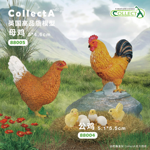 【88005母鸡/88004公鸡/88480雏鸡】CollectA官方授权动物模型