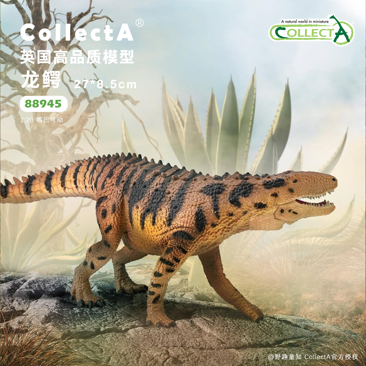 【88945龙鳄】CollectA仿真动物模型玩具古兽公仔科普收藏海爬