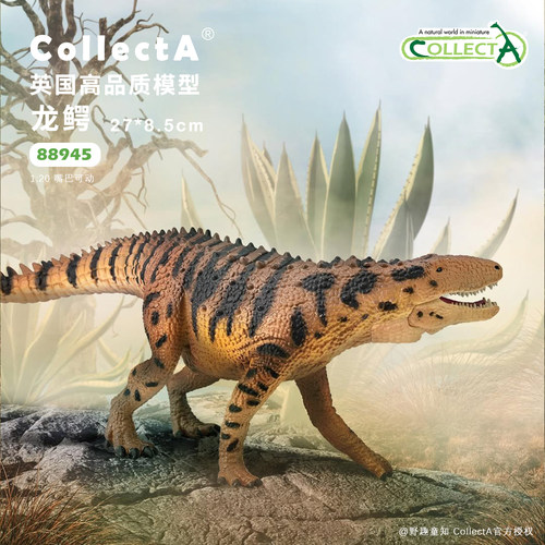 【88945龙鳄】CollectA仿真动物模型玩具古兽公仔科普收藏海爬