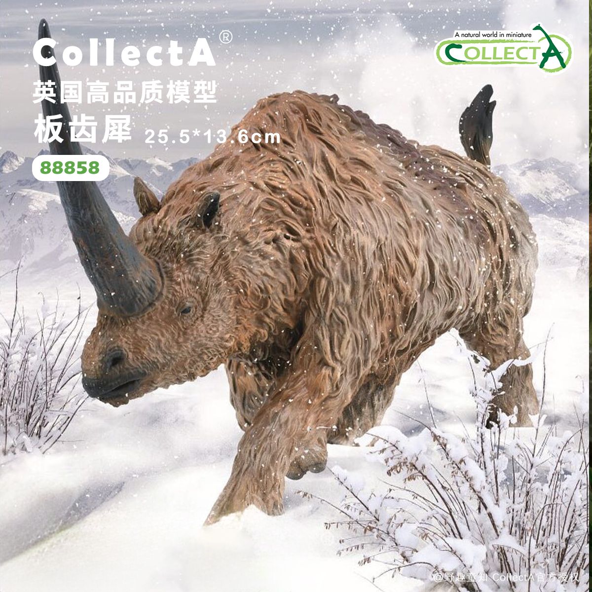 CollectA板齿犀动物模型玩具
