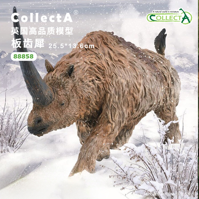 CollectA板齿犀动物模型玩具