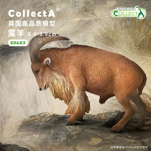 【88683蛮羊】CollectA官方授权正版动物模型早教玩具