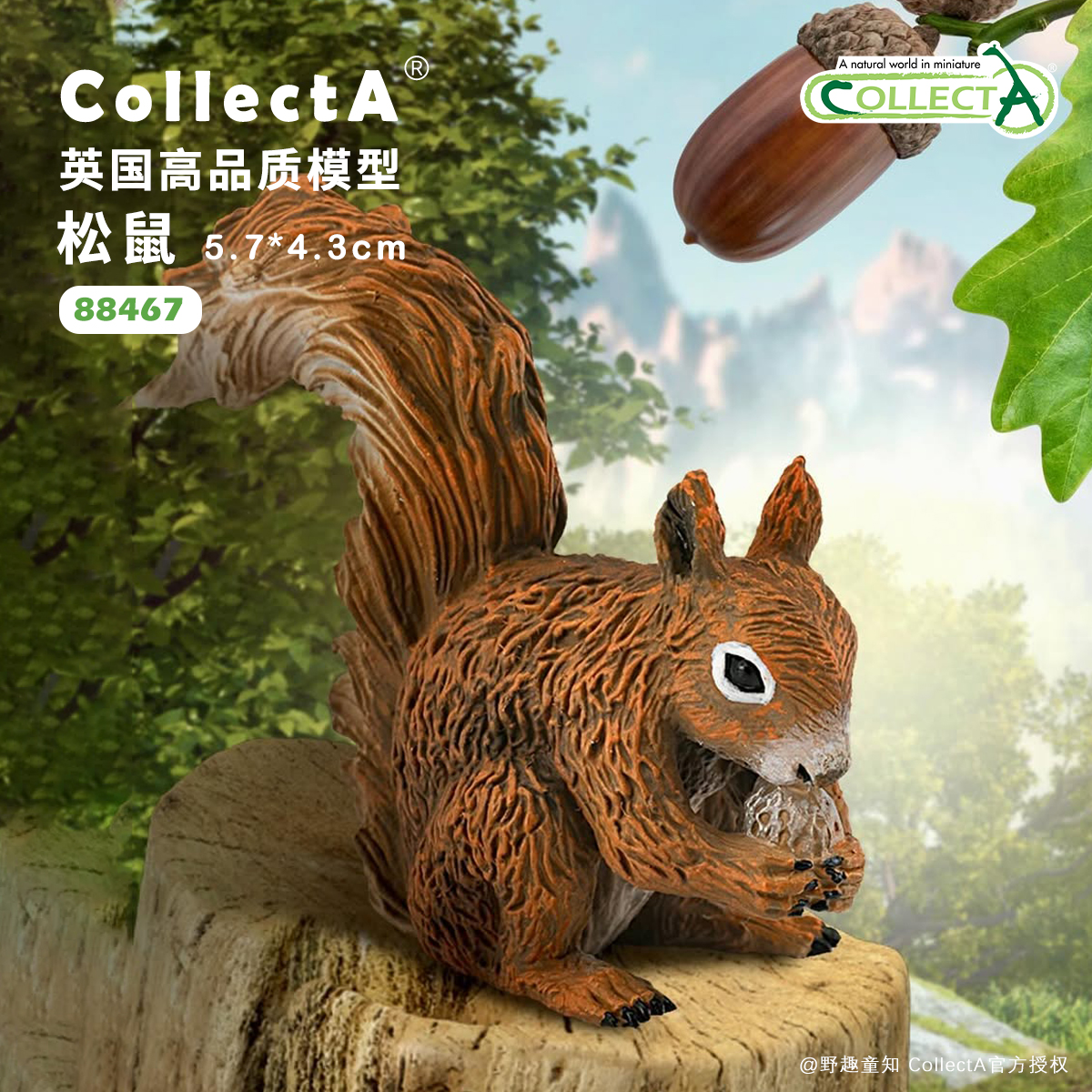 CollectA松鼠动物模型玩具
