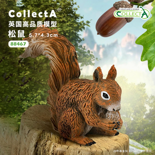 【88467松鼠 - 吃东西】CollectA官方授权正版动物模型早教玩具