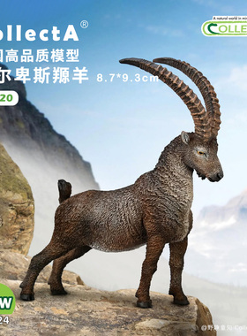 【80020阿尔卑斯羱羊】CollectA官方授权正版动物模型早教玩具