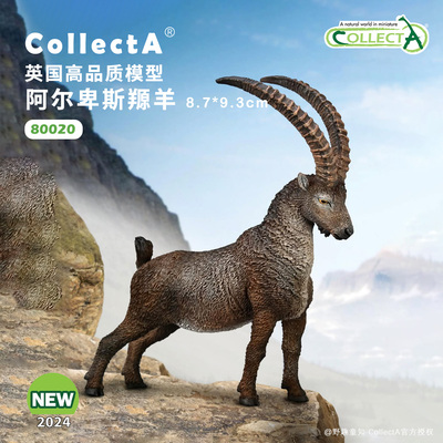 CollectA阿尔卑斯羱羊动物模型