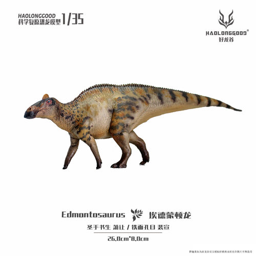 【顺丰包邮】好龙谷【1:35埃德蒙顿龙】恐龙模型礼物玩具手办