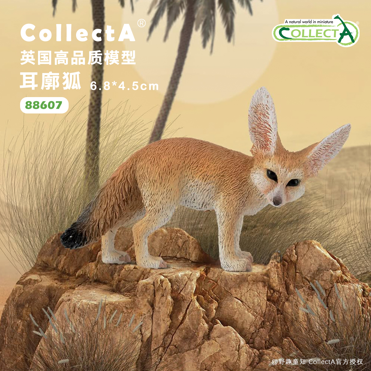 CollectA耳廓狐动物模型玩具