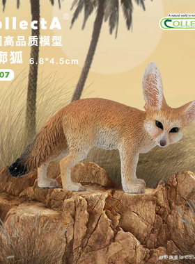 【88607耳廓狐】CollectA官方授权正版动物模型早教玩具
