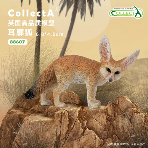 CollectA耳廓狐动物模型玩具