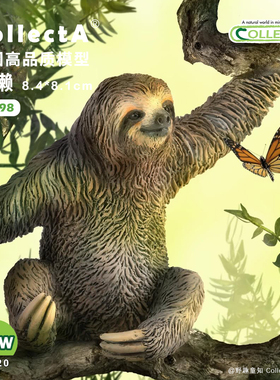 【88898树懒】CollectA官方授权正版动物模型早教玩具