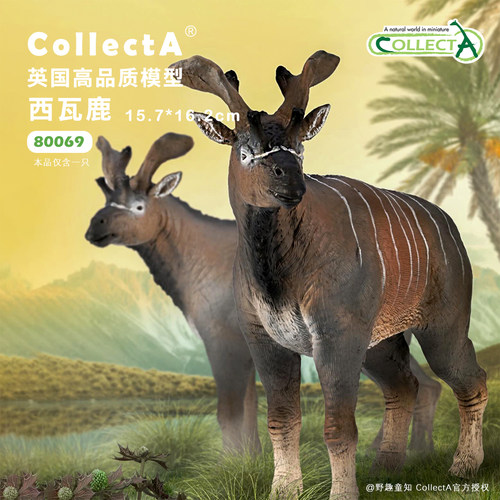 【顺丰包邮】西瓦鹿 COLLECTA我你他英国仿真动物模型玩具