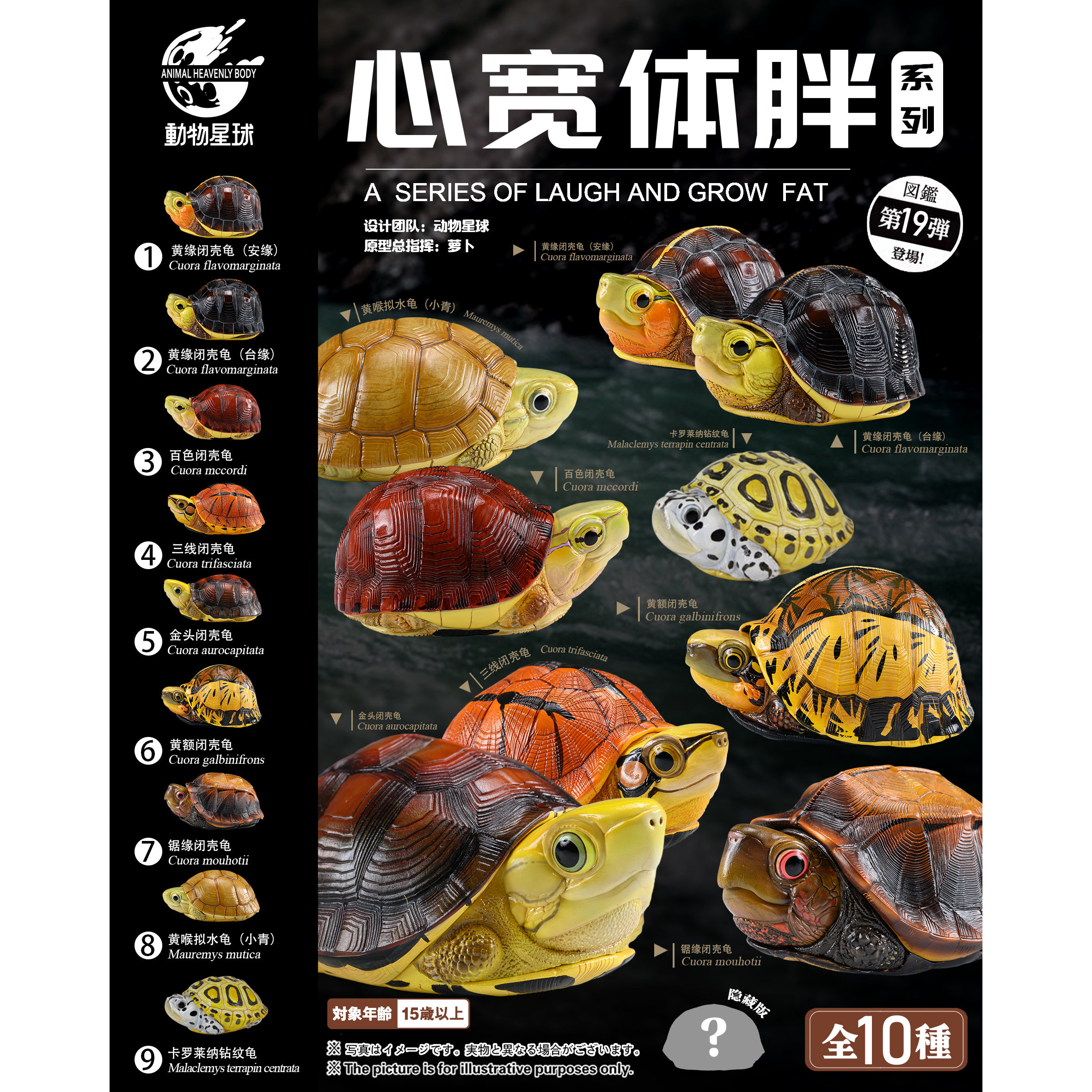 【顺丰包邮】动物星球心宽体胖系列第19弹国龟高端爬宠手办模型