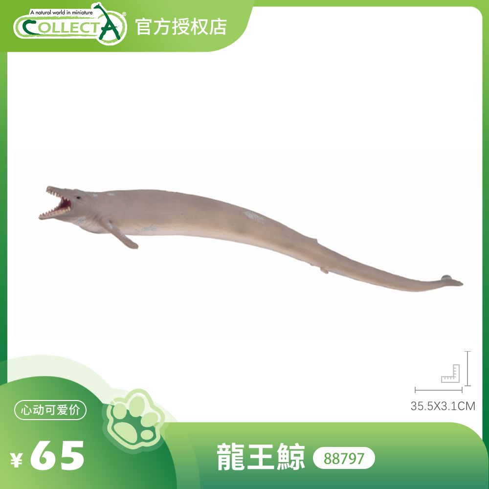 【88797龙王鲸】CollectA仿真动物模型玩具古兽公仔科普收藏海爬