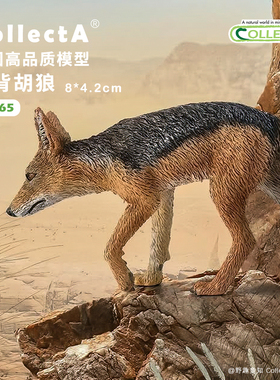 【88665黑背胡狼】CollectA官方授权正版动物模型早教玩具