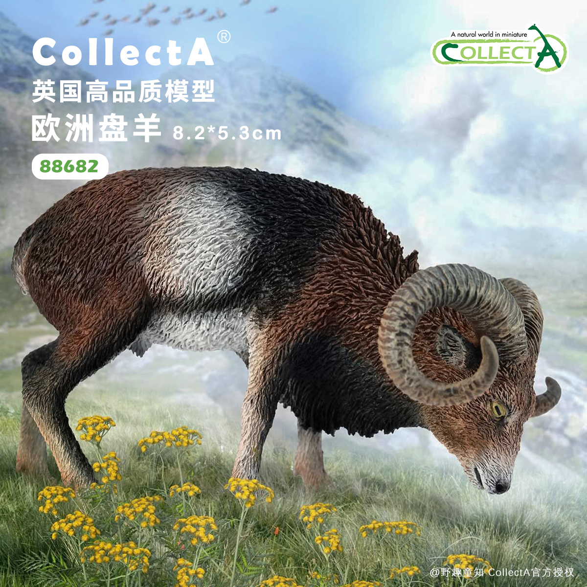 【88682欧洲盘羊】CollectA官方授权正版动物模型早教玩具