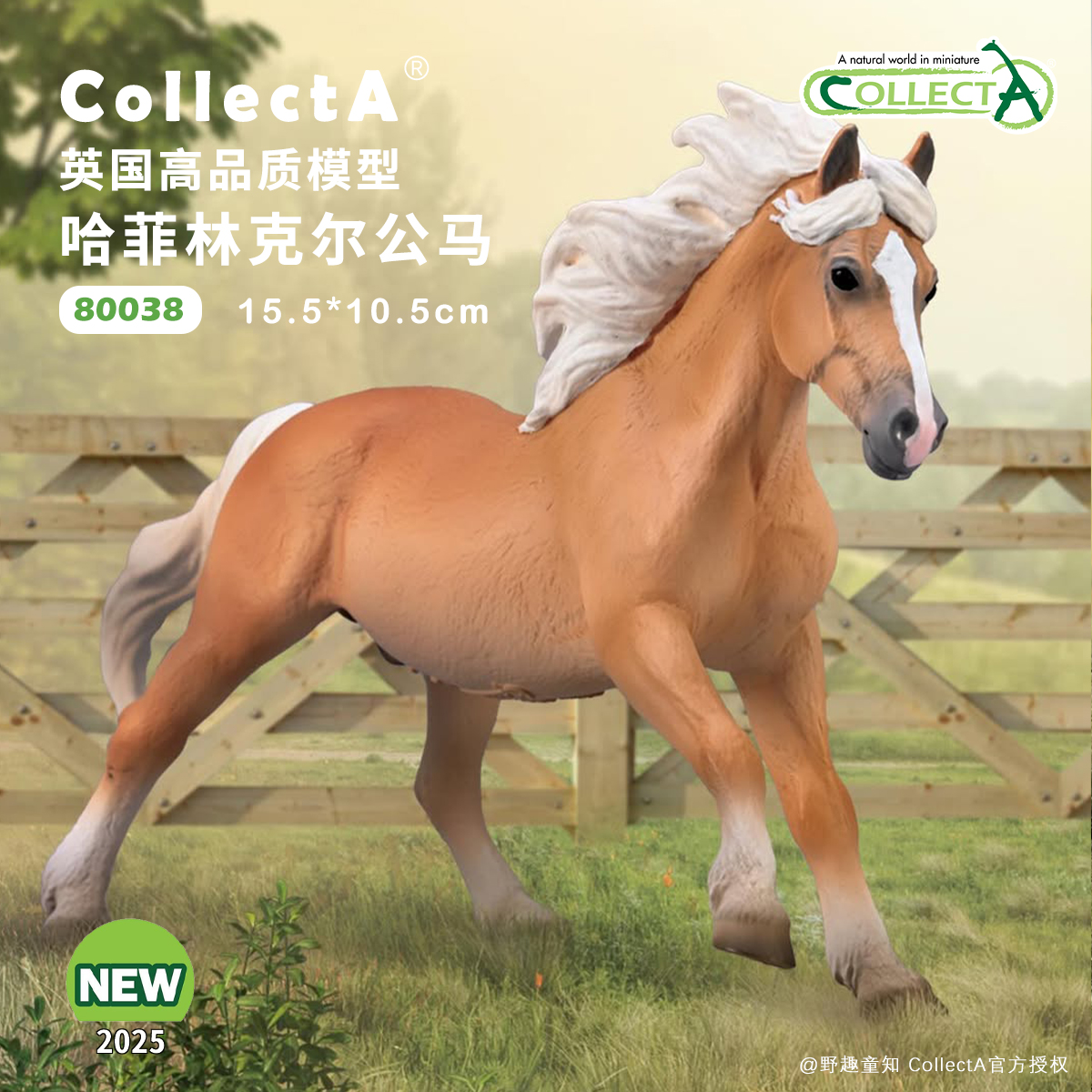 CollectA哈菲林克尔公马