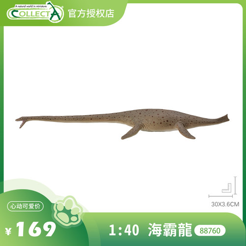 【88760海霸龙1:40】CollectA仿真动物模型玩具古兽公仔科普海爬