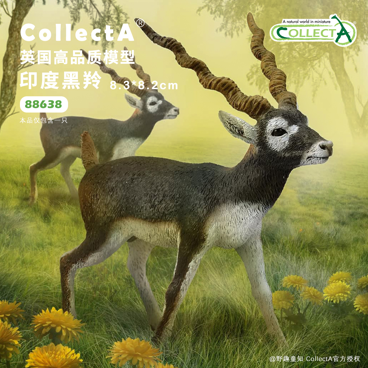 CollectA印度黑羚动物模型玩具