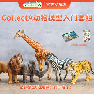 入门首选 组合装 包邮 英国CollectA动物模型具热销 顺丰