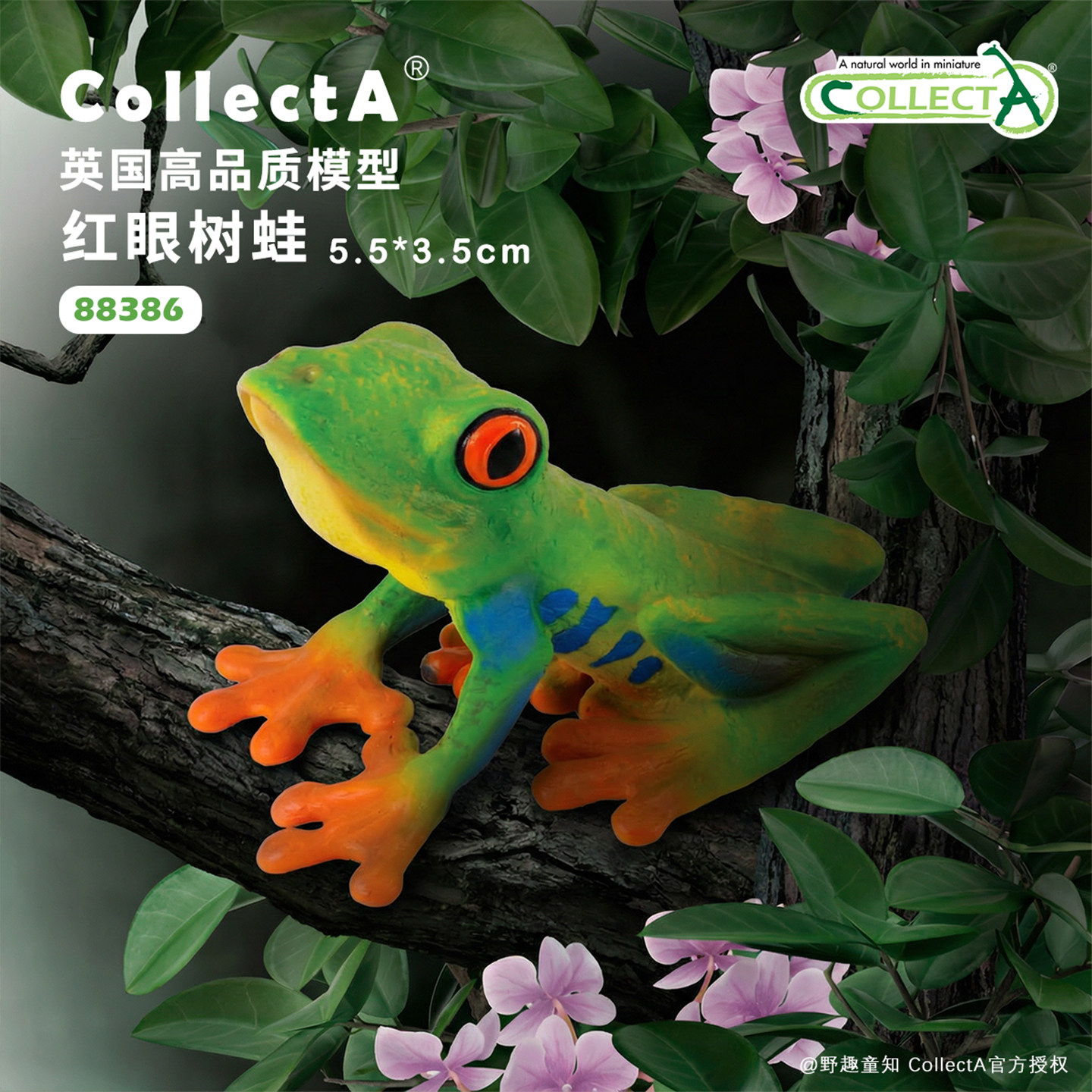【88386红眼树蛙】CollectA官方授权正版动物模型早教玩具