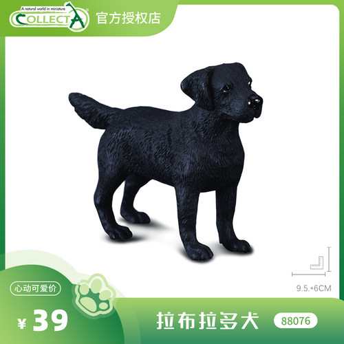 拉布拉多犬CollectA正版动物模型