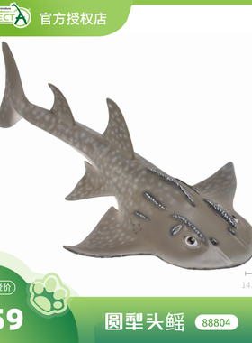 【88804圆犁头鳐】CollectA官方授权正版动物模型早教玩具