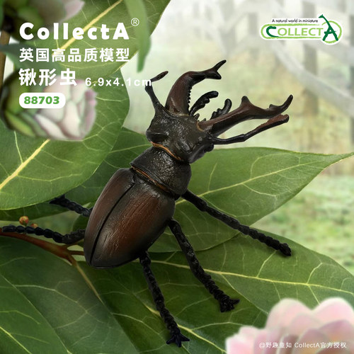 【88703锹形虫】CollectA官方授权正版动物模型早教玩具