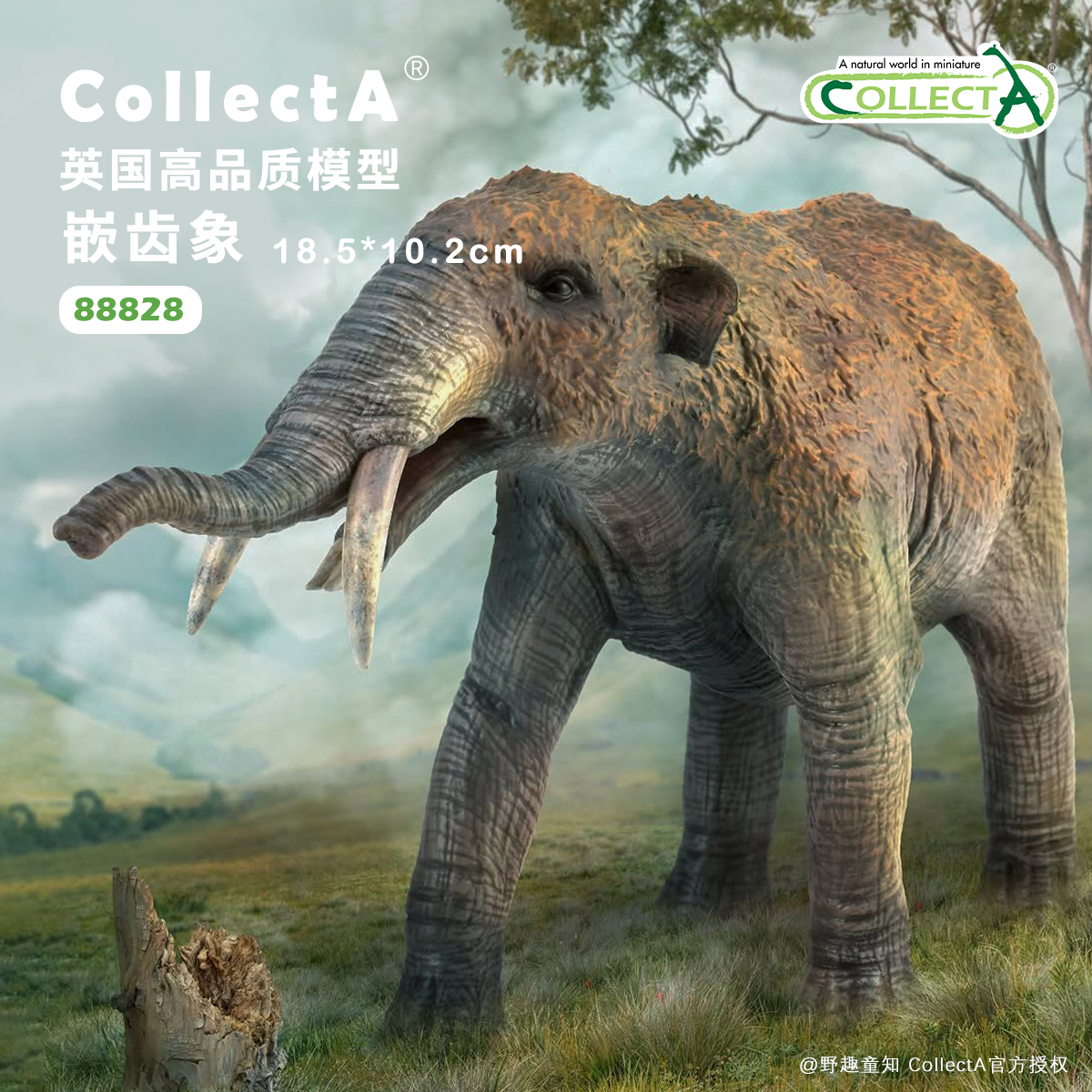 CollectA嵌齿象动物模型玩具