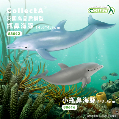 【瓶鼻海豚/幼瓶鼻海豚】CollectA官方授权正版动物模型早教玩具