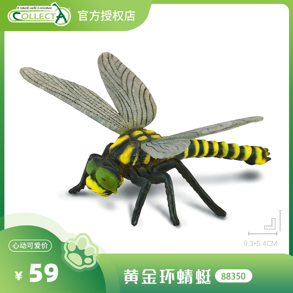 【88350黄金环蜻蜓】CollectA官方授权正版动物模型早教
